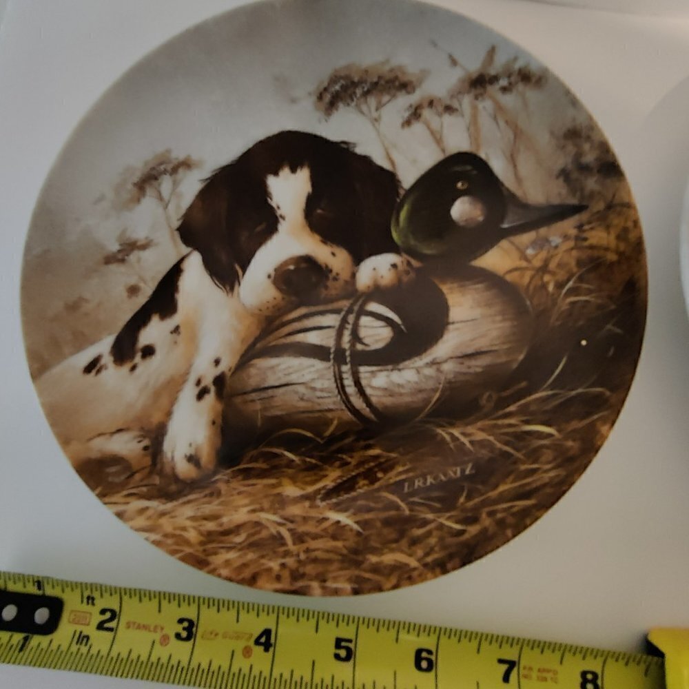 Springer Spaniel Plate Authorized by United Kennel Club Vintage Limited Edition